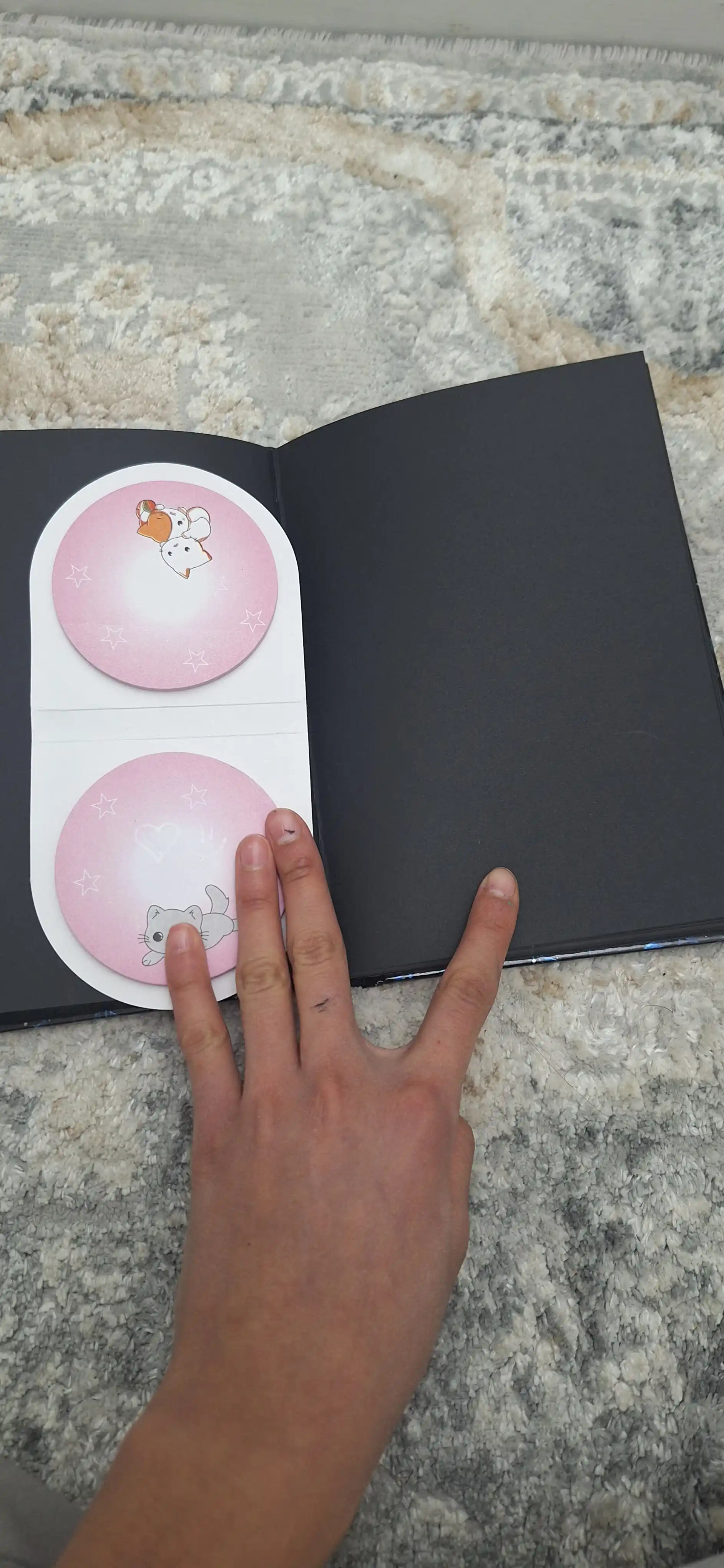 Qora varoqli bloknot, sketchbuk