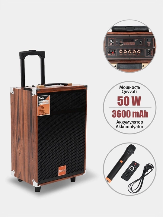 Portativ Kolonka, Simsiz Bluetooth Karaoke musiqasi, mikrofonli, pultli va RGB yorug'lik