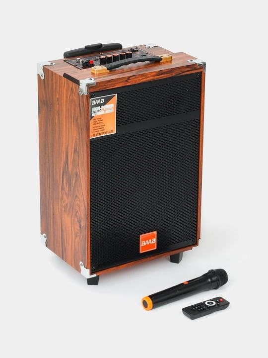 Portativ Kolonka, Simsiz Bluetooth Karaoke musiqasi, mikrofonli, pultli va RGB yorug'lik