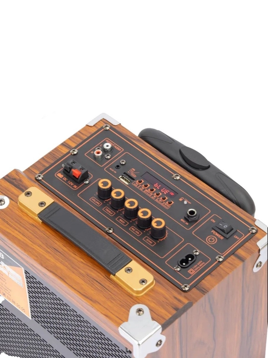 Portativ Kolonka, Simsiz Bluetooth Karaoke musiqasi, mikrofonli, pultli va RGB yorug'lik