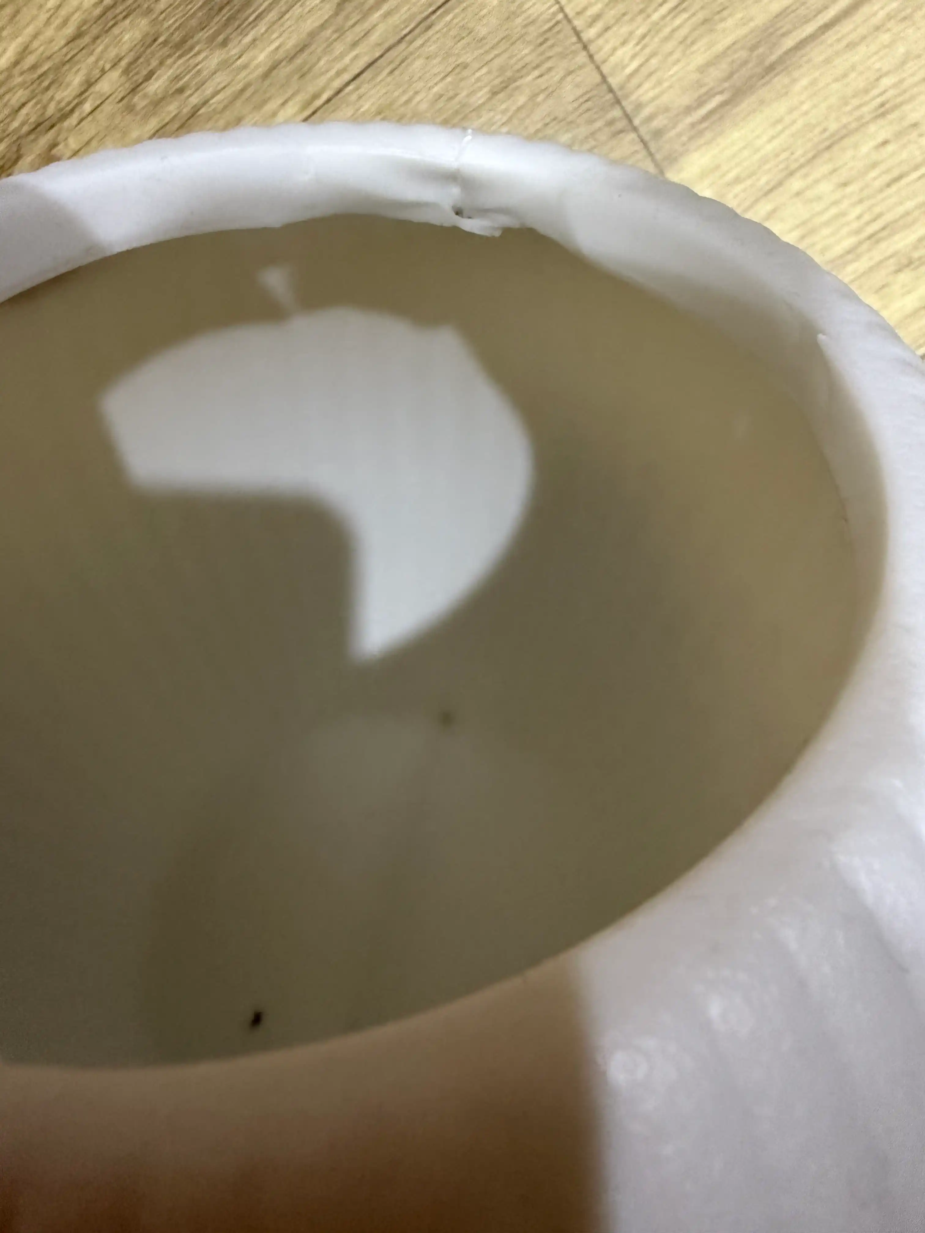 Plastik gul tuvak globus, 1-2.5-6-20 litr, uy va dekor uchun