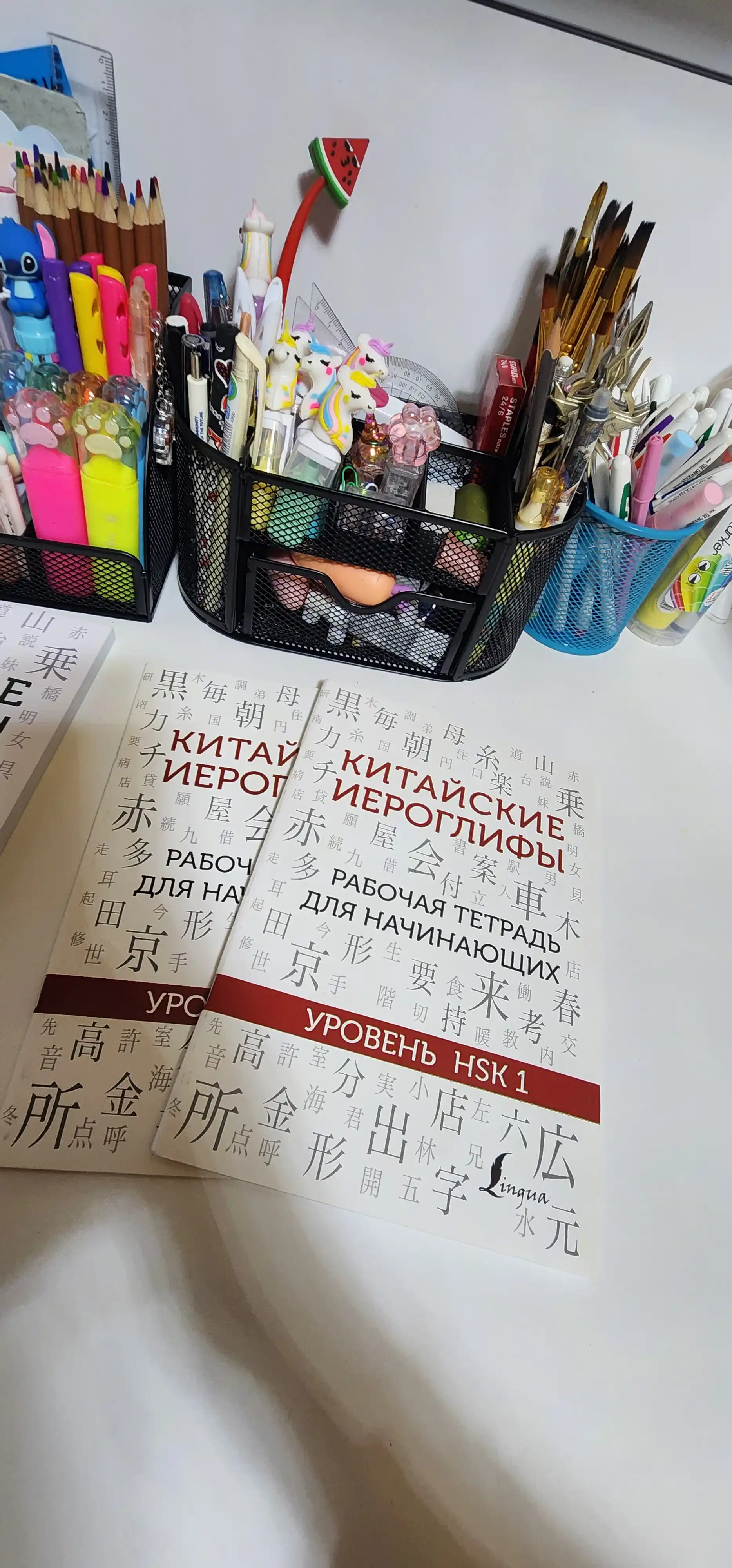 Китайские иероглифы, рабочая тетрадь для начинающих, уровни HSK 1-2, 3-4