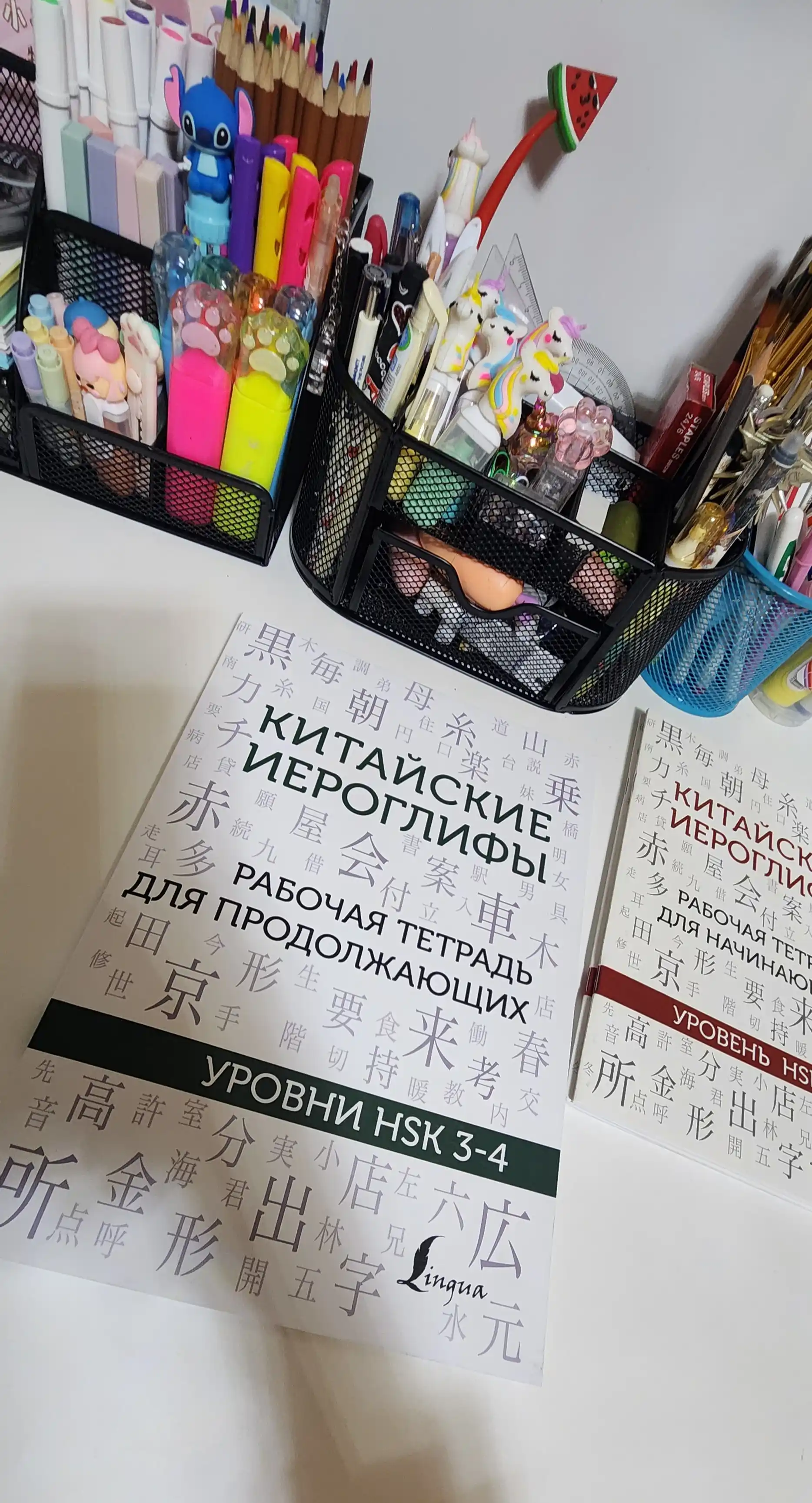 Китайские иероглифы, рабочая тетрадь для начинающих, уровни HSK 1-2, 3-4