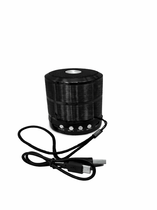 WS-887 portativ karnay (mini-karnay)