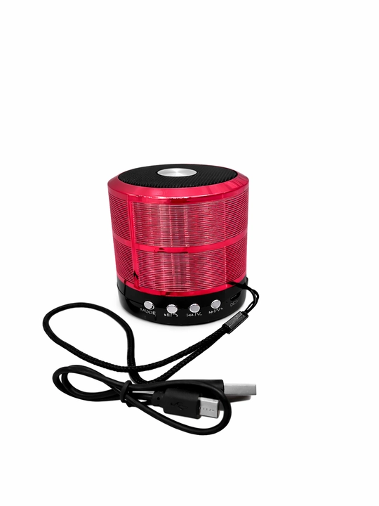 WS-887 portativ karnay (mini-karnay)