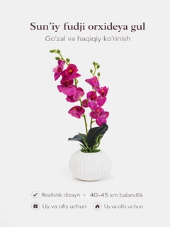 Korall
