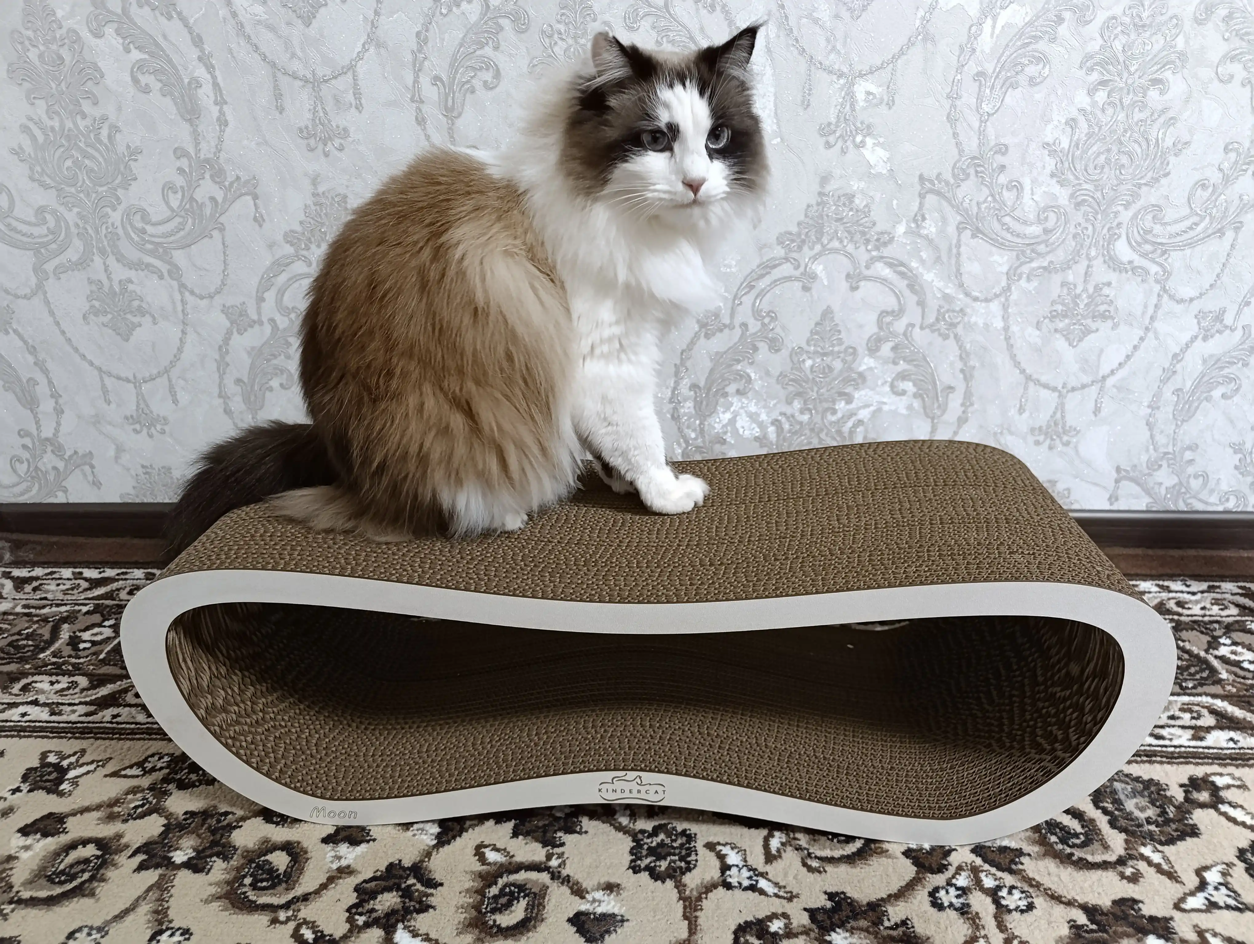 Tirnash ustuni, KinderCat Moon, mushuklar uchun