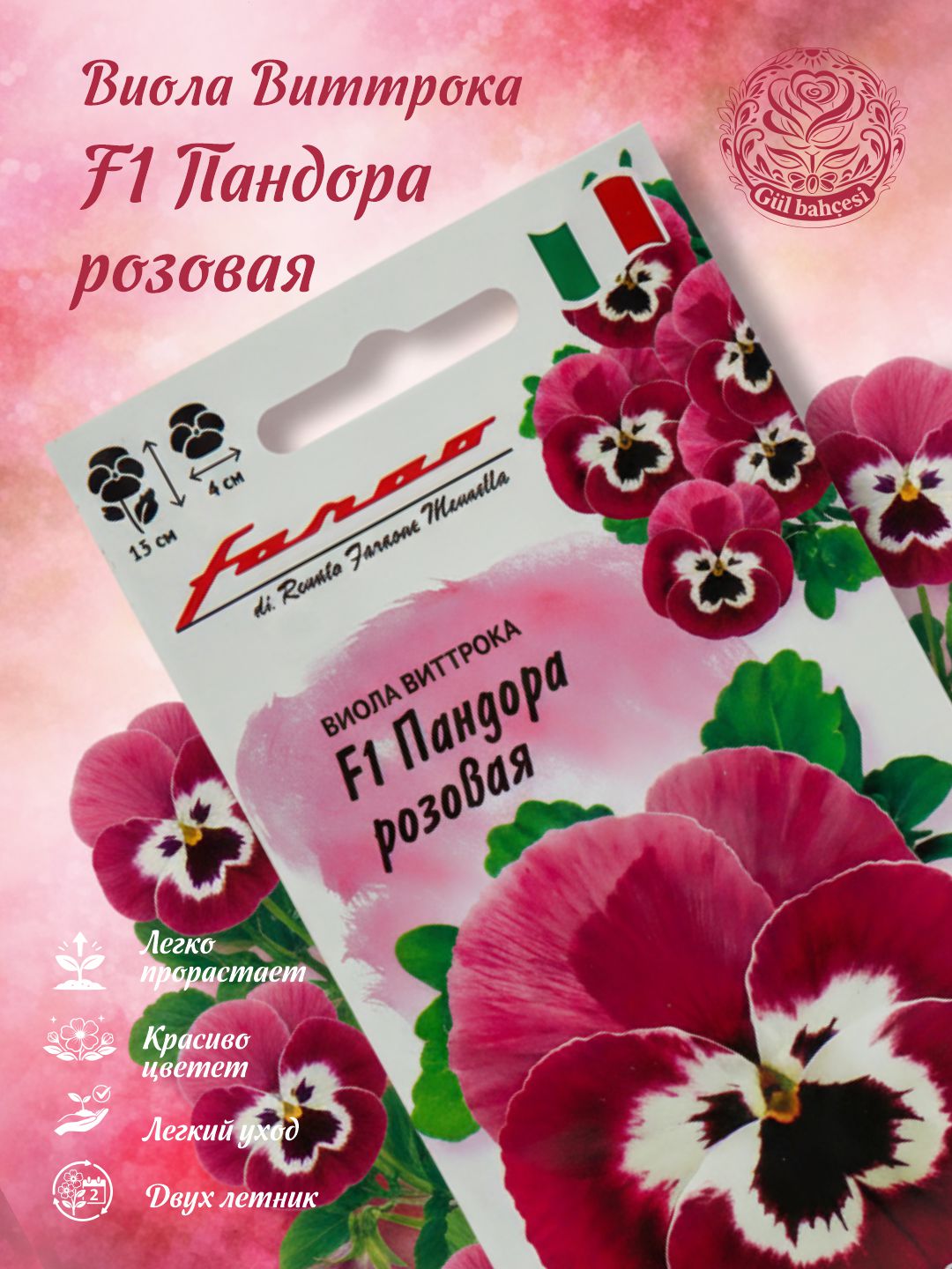 Urug'lar Viola  pushti F1, Vittroka, 5 dona