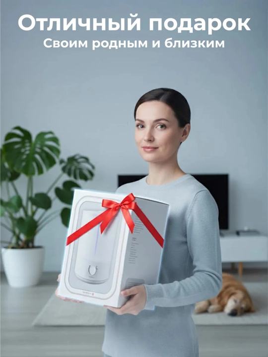 Ультразвуковой увлажнитель воздуха Bliss Home, ночник, аромадиффузор 2 л, для дома и офиса