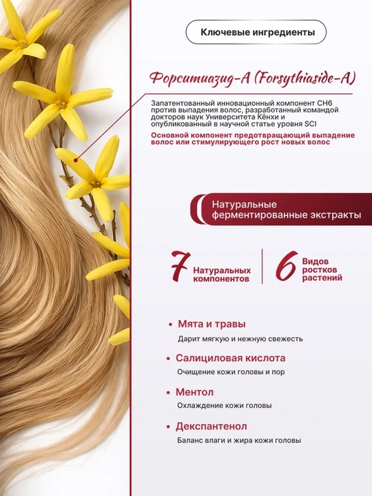 Шампунь против выпадения и для роста волос CH6 Scalp SSAG Shampoo, 520 мл