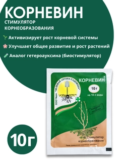Бежевый