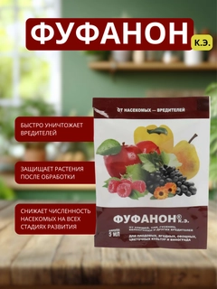 Oq