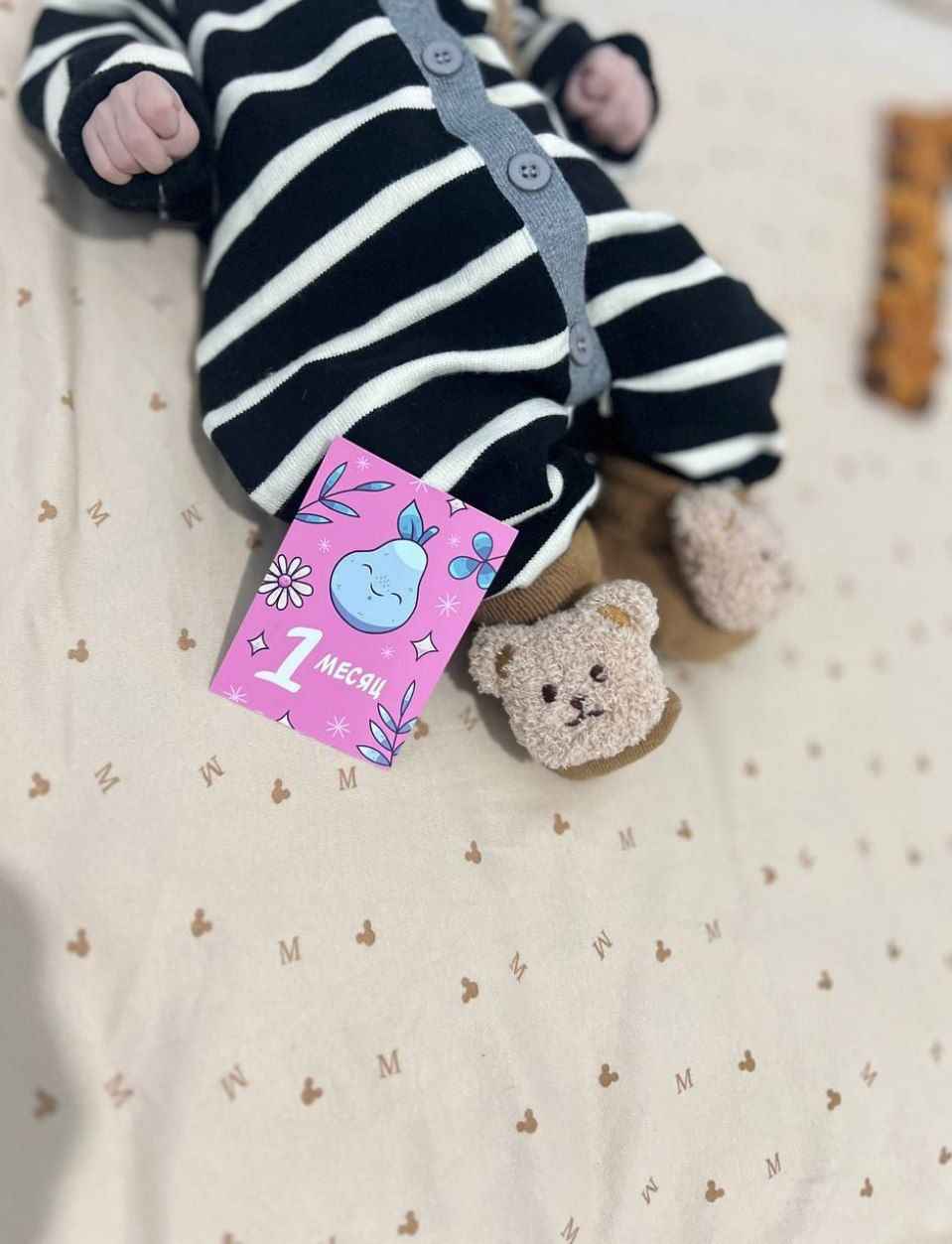Oylar bo’yicha yangi tug’ilgan chaqaloqlarni fotosessiya qilish uchun kartochkalar