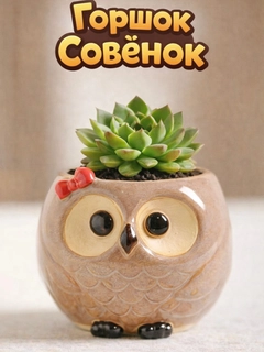 Бежевый