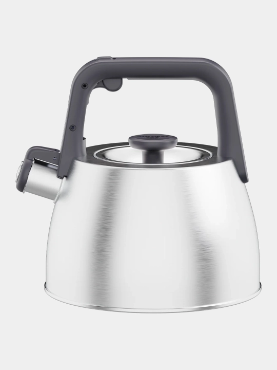 Чайник со свистком Anthracite 2,20 л
