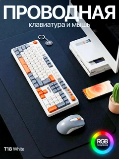 Korall