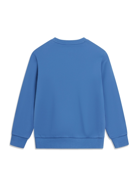 Bolalar uchun sport tolstovkasi Li-Ning YOUNG YWDV299