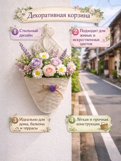 Lavanda