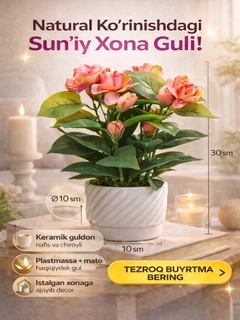 Korall pushti