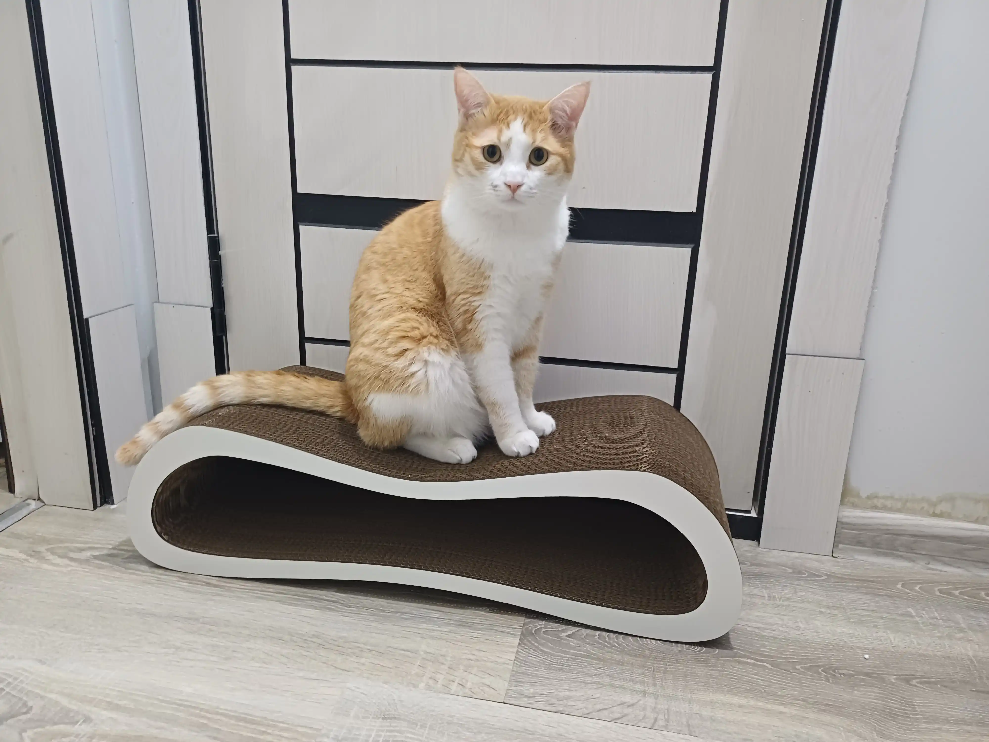 Tirnash ustuni KinderCat Mini Moon mushuklar uchun