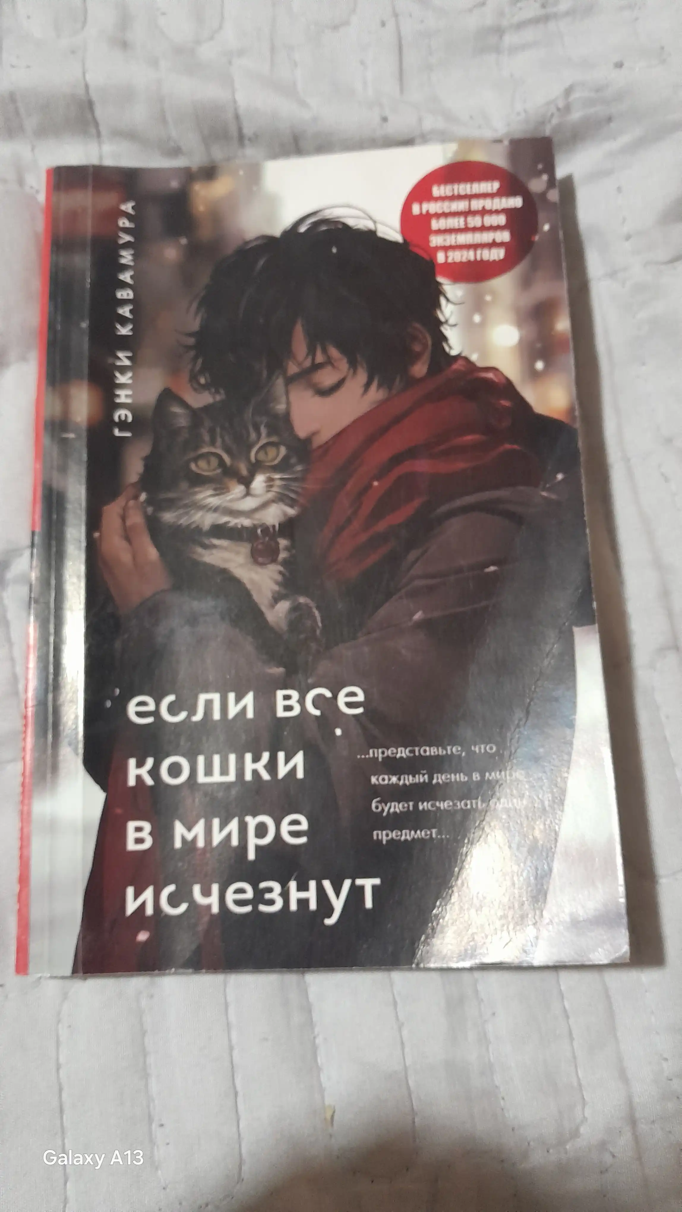 Yesli vse koshki v mire ischeznut, Genki Kavamura