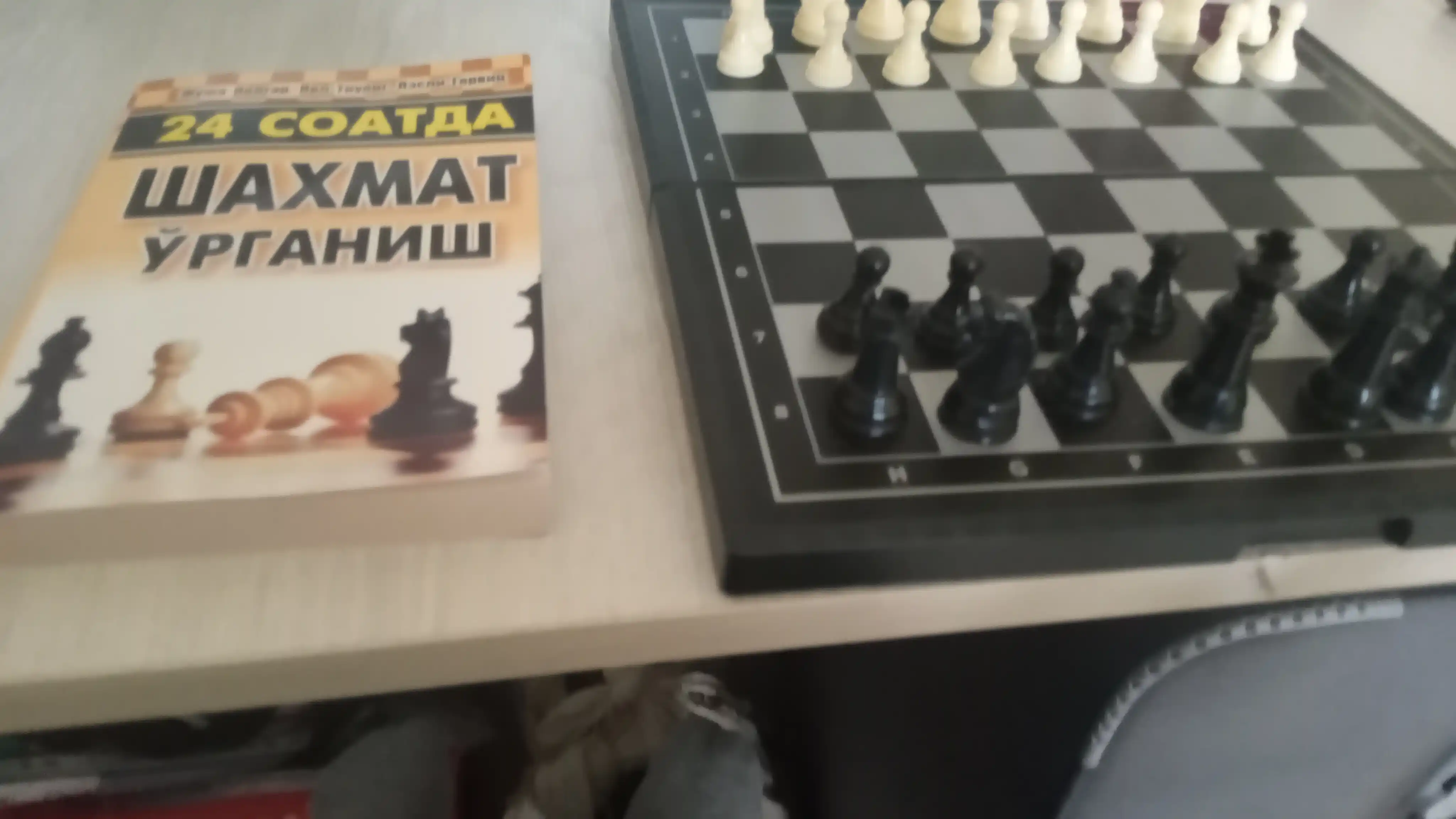 24 Soatda shaxmat o'rganish, Juja Polgar, Pol Truong, Lesli Gorvits