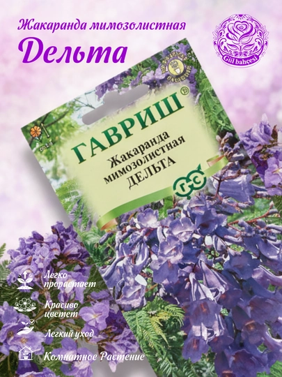 Семена жакаранда дельта, 3шт, "Гавриш", цветочная коллекция 4601938 — GAVRISH-GV00023