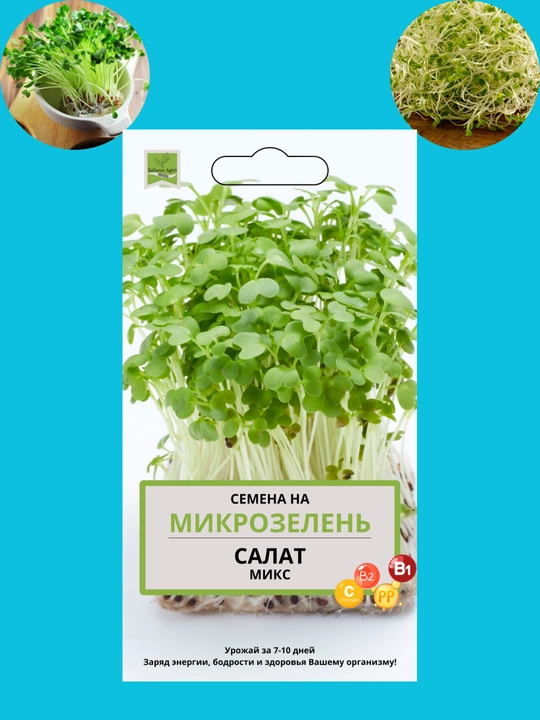 Mikroko'katlar urug'lari, unib chiqish uchun mikroko'katlar, shveytsariyalik mangold, daikon, rutabaga, no'xat - 