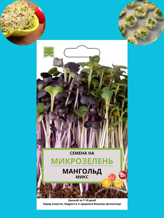 Mikroko'katlar urug'lari, unib chiqish uchun mikroko'katlar, shveytsariyalik mangold, daikon, rutabaga, no'xat - 
