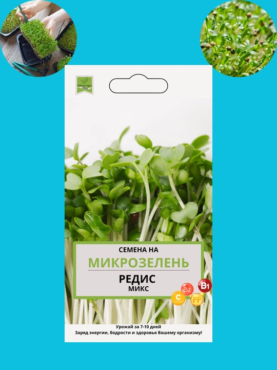 Mikroko'katlar urug'lari, unib chiqish uchun mikroko'katlar, shveytsariyalik mangold, daikon, rutabaga, no'xat - 