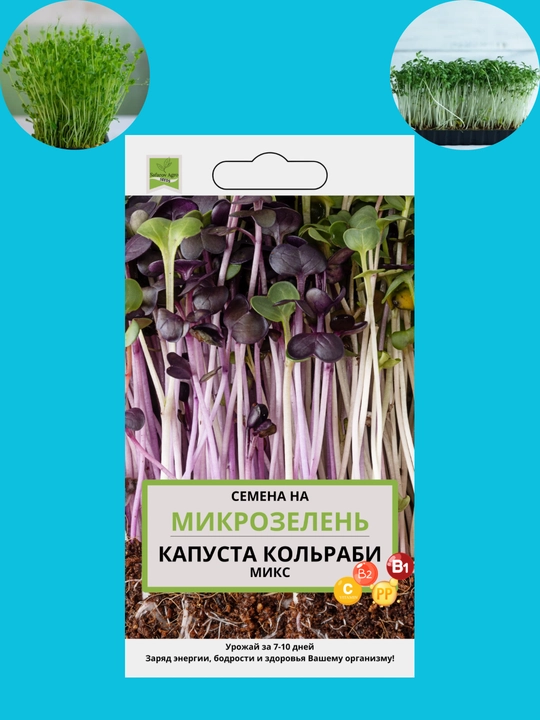 Mikroko'katlar urug'lari, unib chiqish uchun mikroko'katlar, shveytsariyalik mangold, daikon, rutabaga, no'xat - 