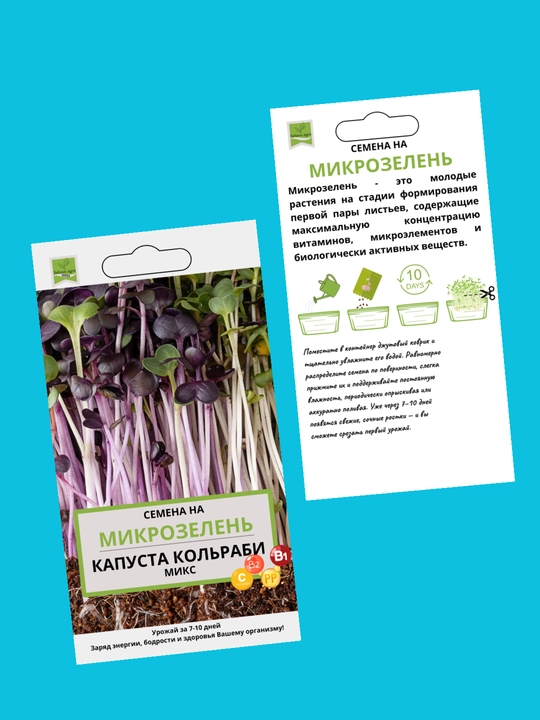 Mikroko'katlar urug'lari, unib chiqish uchun mikroko'katlar, shveytsariyalik mangold, daikon, rutabaga, no'xat