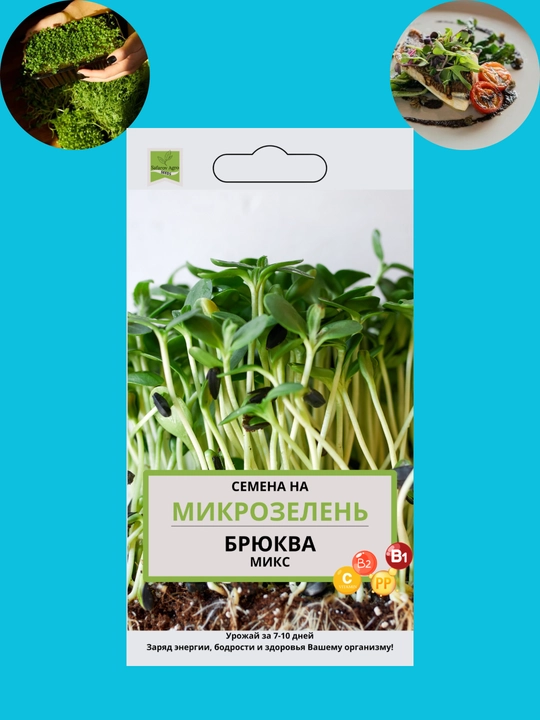 Mikroko'katlar urug'lari, unib chiqish uchun mikroko'katlar, shveytsariyalik mangold, daikon, rutabaga, no'xat - 