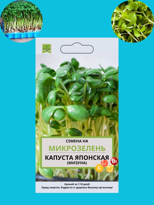 Mikroko'katlar urug'lari, unib chiqish uchun mikroko'katlar, shveytsariyalik mangold, daikon, rutabaga, no'xat - 