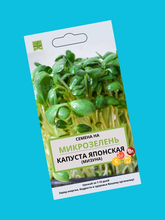 Семена микрозелени, микрозелень, для проращивания, мангольд, дайкон, брюква, горох