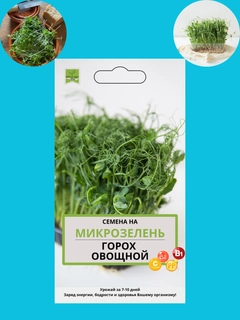 Fuksiya
