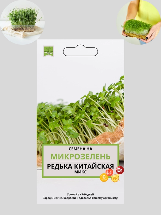 Mikroko'katlar urug'lari bazilik, lavlagi, arugula, turp, brokkoli, karam, kolrabi - 
