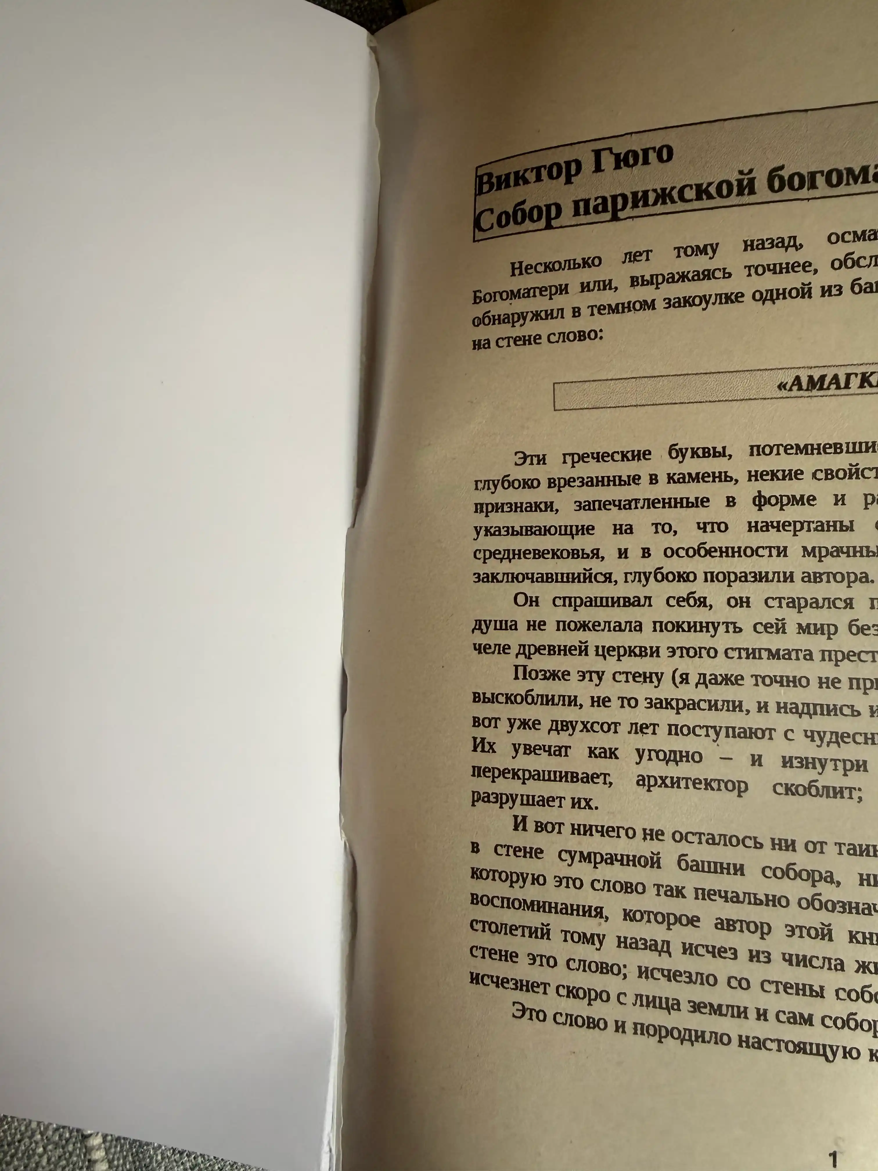 Собор Парижской Богоматери, Виктора Гюго