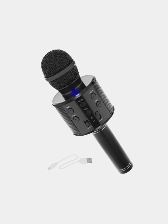 Беспроводной Микрофон караоке со встроенной колонкой USB, Bluetooth, Microsd с эффектами