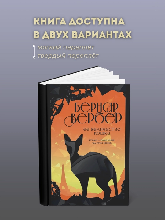 Qirolicha mushuk - 