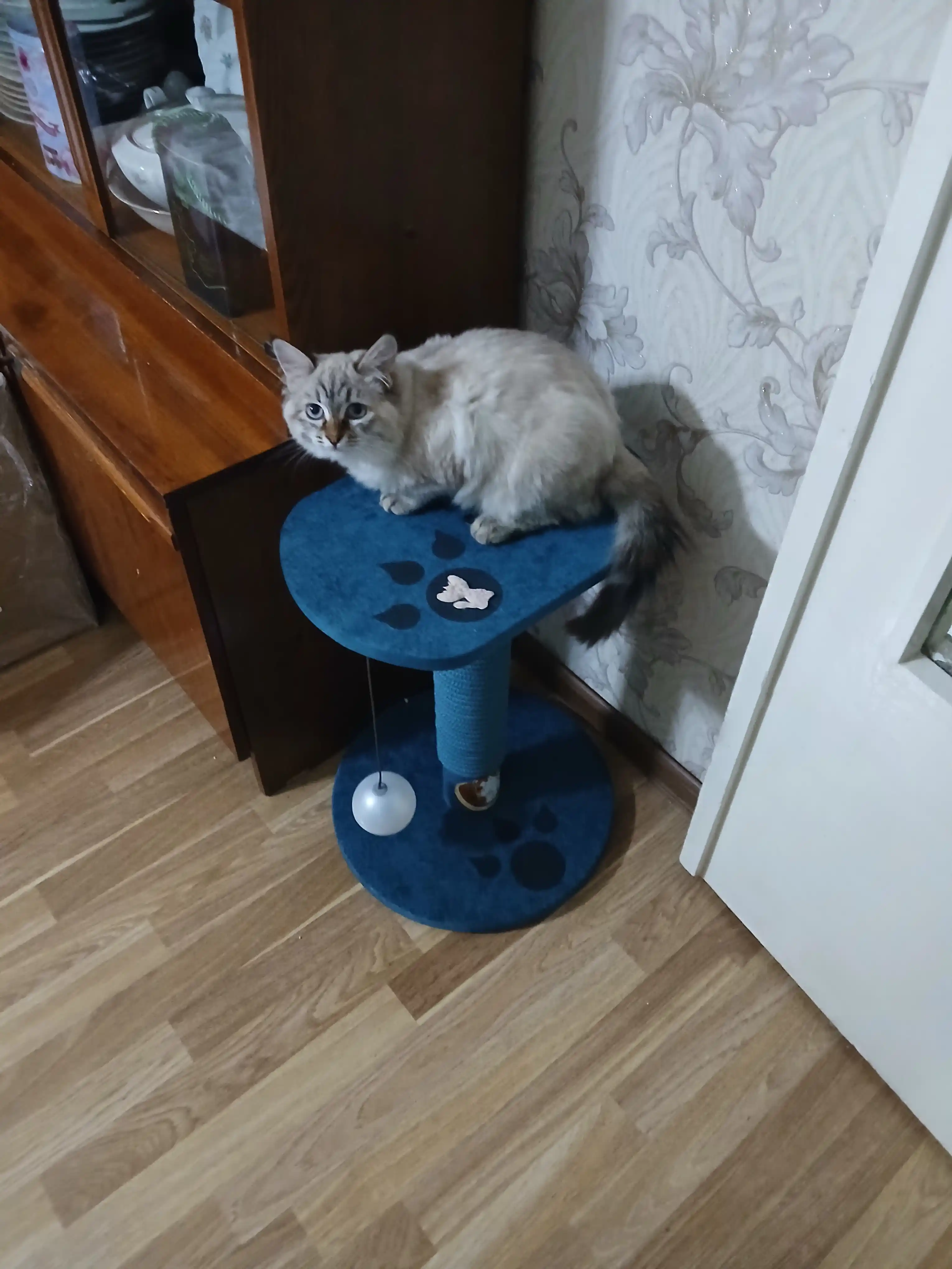 Когтеточка для кошек, из плотного материала, защищает мебель от когтей, удобная