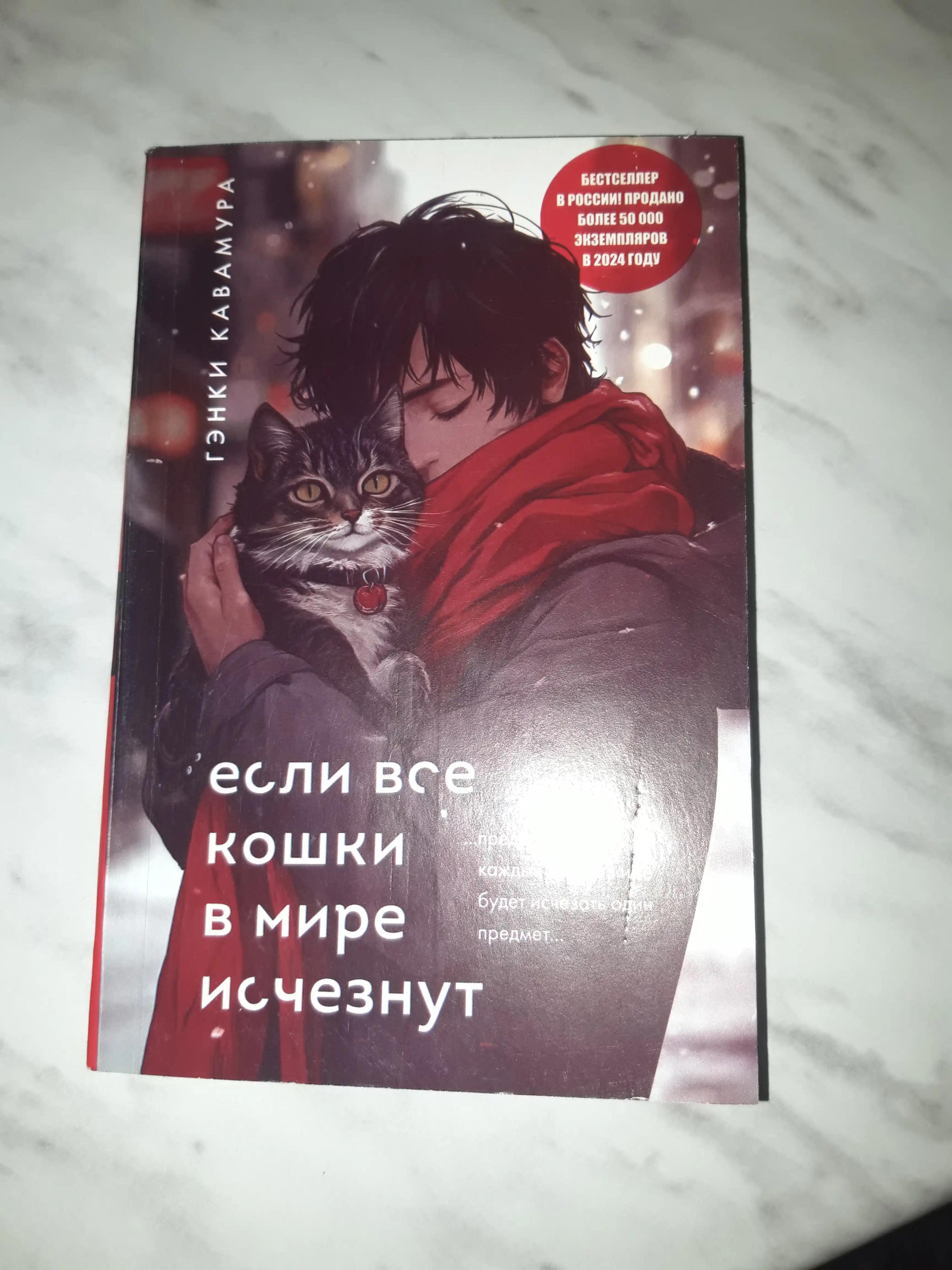Yesli vse koshki v mire ischeznut, Genki Kavamura