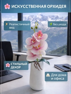 Korall melanj