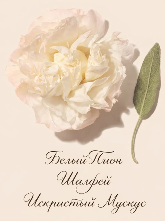Parfyumli tana spreyi, mist, Viktoria Sekret, ayollar uchun parfumeriya suvi, atir 250 ml
