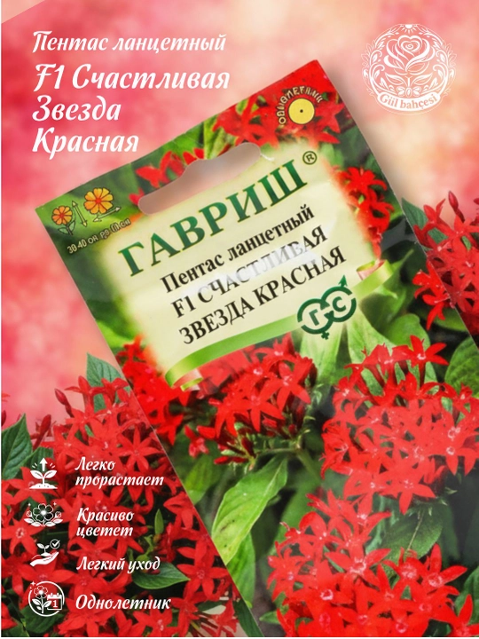 Lantset Pentas urug'lari "Baxtli yulduz", qizil F1, 3 dona, 1071860697 - 