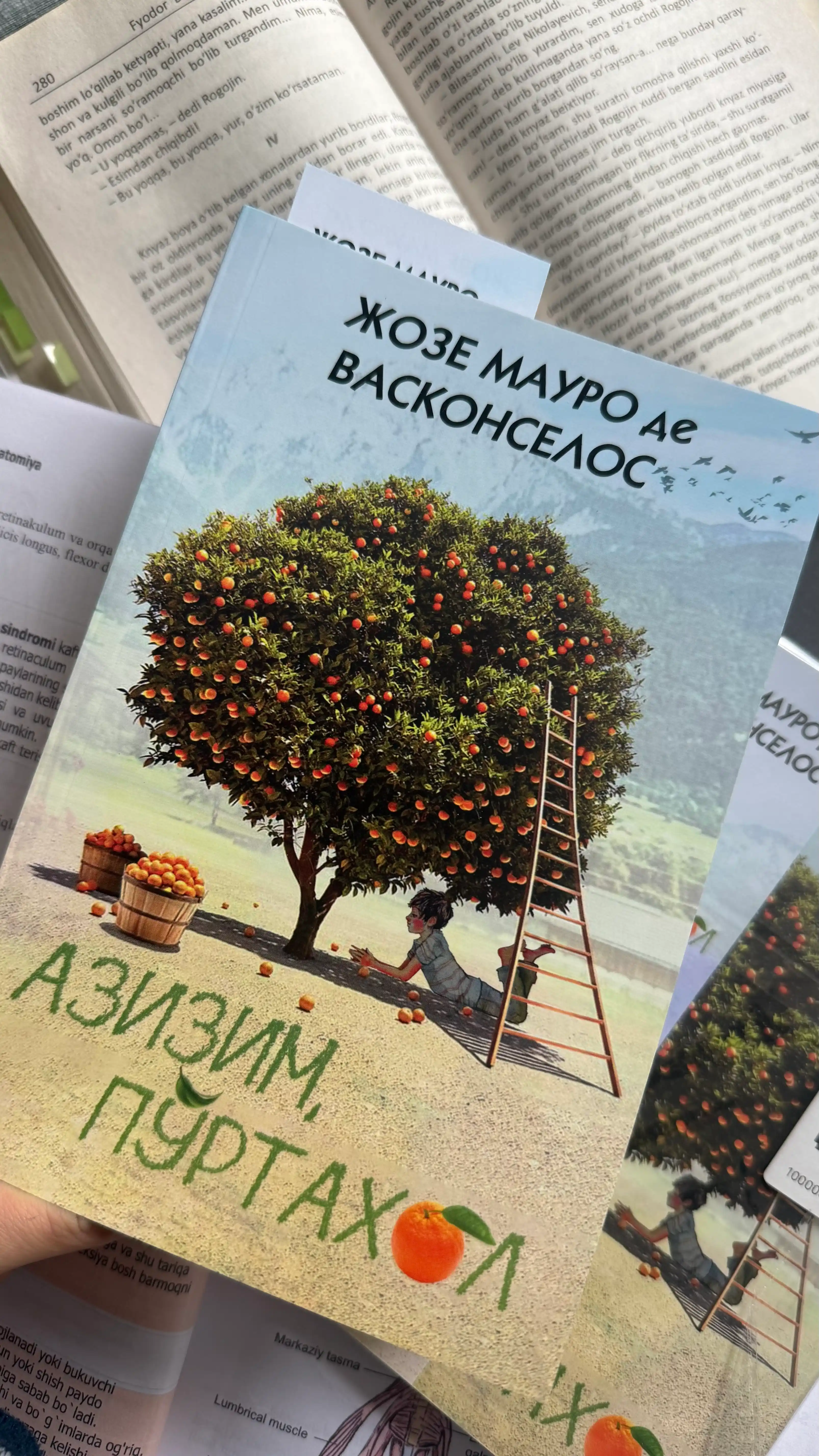 Azizim Po'rtaxol Joze mauro DE vaskonselos, Roman
