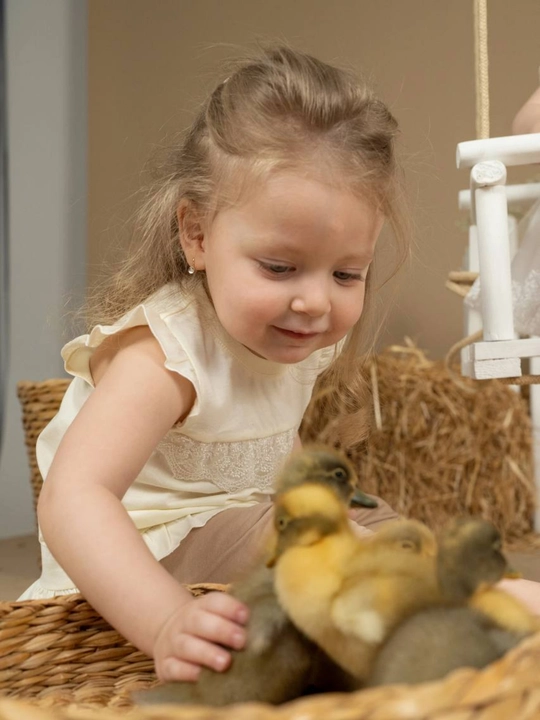 Футболка для девочек divakids из 100% хлопка