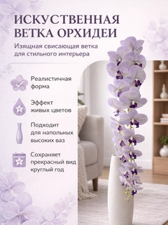 Lavanda