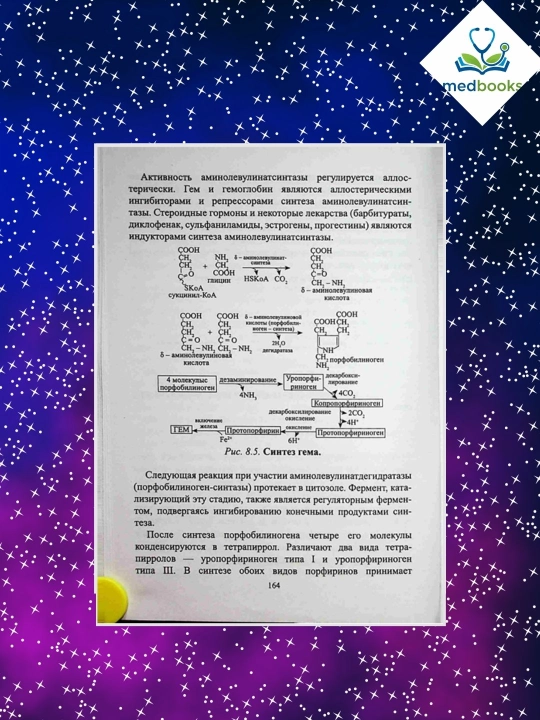 Bioximiya II tom – Sabirova & Yuldashev | Oliy ta’lim darsligi
