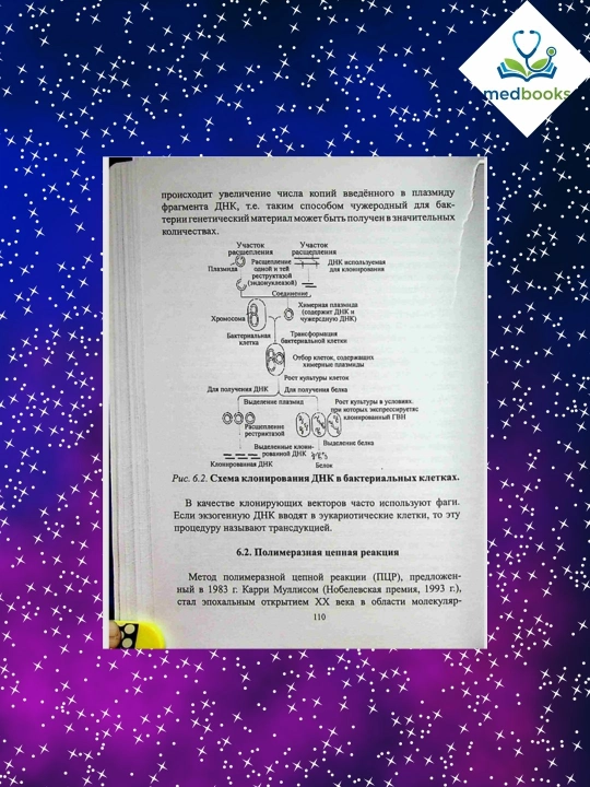Bioximiya II tom – Sabirova & Yuldashev | Oliy ta’lim darsligi